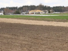 Ceny dzierżawy ziemi w górę. Gdzie czynsze są najwyższe?