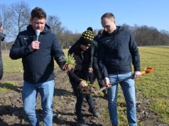 Rzepak, zboża i ziemniaki pod lupą BASF – technologie i odmiany na lepsze plony