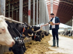 Premia dla młodych rolników 2026: warunki decydują o pieniądzach