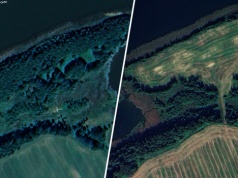 Wyciął 1570 drzew na terenie obszaru chronionego na Mazurach. Sąd go uniewinnił