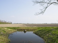 Prawie 300 hektarów do dzierżawy z KOWR. Taka oferta w woj. lubelskim to rzadkość