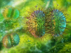 Epidemia zapalenia opon mózgowych. Zmarły dwie osoby. „Bezprecedensowe wydarzenie”