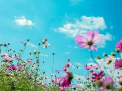 Długoterminowa prognoza dla Polski. Taka będzie Wielkanoc. Meteorolodzy już wiedzą