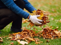 Tego nie wolno robić na działce. Absolutny zakaz