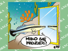 Samoświadome rybki. Wargatek potrafi rozpoznać siebie w lustrze