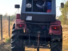 Trzech pasażerów w kabinie ciągnika. Traktorzysta pożegnał prawo jazdy