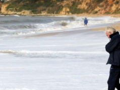 Na plaży znaleziono skamieliny kości różnych zwierząt sprzed 10 mln lat