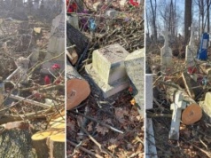 Urzędnicy z piłami spustoszyli historyczny cmentarz w Brześciu