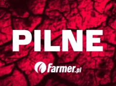 Urugwajska wołowina z hormonami trafiła do Polski