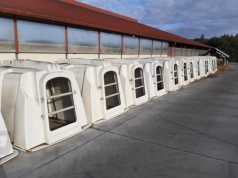 Dobrostan 2025: kluczowe terminy i dokumenty. Spóźnienie może kosztować dopłaty