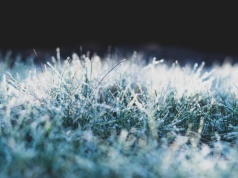 Uwaga, na Podkarpacie wraca mróz! Temperatura spadnie do -6 stopni