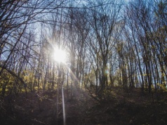 Pogoda na czwartek | W dzień ciepło, ale w nocy i nad ranem uwaga na przymrozki