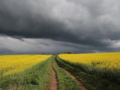 Przetargi na ziemię państwową – co się zmienia, a co zostaje bez zmian?