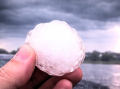 NASA prosi nas o pomoc. Mamy donosić na naturę