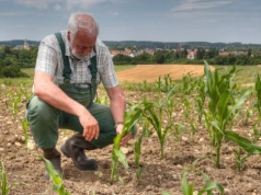 Zadłużone gospodarstwo rolne – czy konsolidacja zobowiązań pomoże wyjść z kryzysu finansowego?