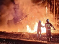 Płonął las. Cztery strażackie zastępy w akcji