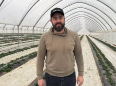 Z pola pod tunel. Szymon Kamiński stawia na jakość i konsekwentnie rozwija produkcję truskawek