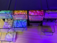 Narkotyk "zombie" w Warszawie! Policja przejęła groźną flakkę