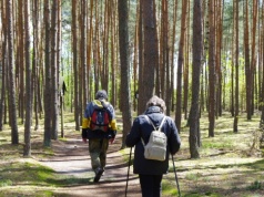 Idealna trasa na wiosenny wypad z Krakowa. Łatwy szlak i piękne panoramy