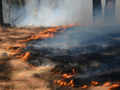 30 000 zł za papierosa w lesie, ale wypalanie traw traktowane po macoszemu. Dlaczego?