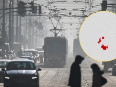 Specyficzne zimowe zagrożenie nie minęło. Wróciło do jednego województwa