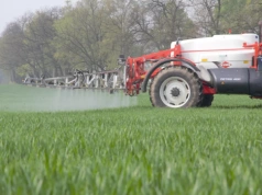 Zabieg T1 w zbożach 2026: kiedy wykonać i jakie fungicydy wybrać?