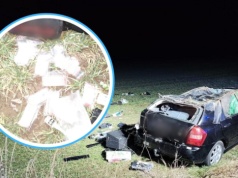 Dachował pod Grodkowem. Z auta wypadło 1000 porcji narkotyków