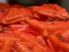 Marchew z kilku krajów, ale lider jest jeden. W styczniu 2,40 tys. ton za niemal 8 mln zł