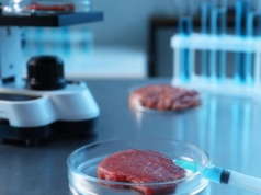 Wołowina z progesteronem. RASFF wykrył problem, branża reaguje