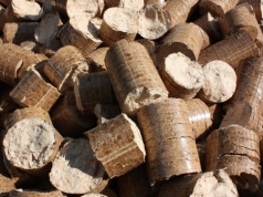 Dr inż. Tomasz Mirowski (PAN): Biopaliwa będą coraz ważniejsze w polskim miksie energetycznym