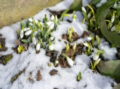 Powtórka sprzed 13 lat? Taka ma być Wielkanoc 2026. Dwa warianty