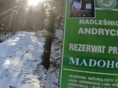 Tylko Lasy Państwowe były przeciwko. Rezerwat w Beskidzie Małym będzie powiększony do 400 ha