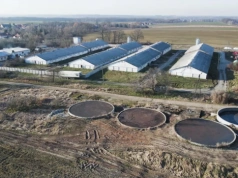 Rolnicy skazani za gnojowicę. Ten wyrok sądu może wstrząsnąć polską wsią!