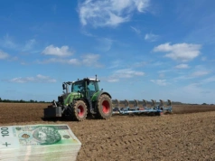 Ile kosztuje dzierżawa dobrej ziemi? Te stawki mogą zaskoczyć rolników