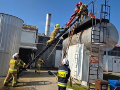 Ćwiczenia w firmie Bonduelle Polska S.A. Zakład Produkcyjny w Ruchocicach