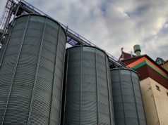 Ponad 2 tysiące ton pszenicy wpadło do rzeki. Słona grzywna dla właścicieli zawalonego silosa