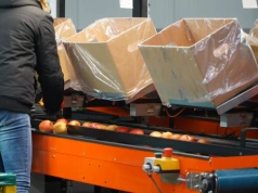 To mniej niż 1% eksportu, ale stawka jest duża. Wojna z Iranem szkodzi handlowi jabłkami