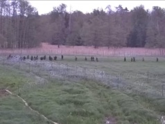 Ponad 150 migrantów miało siłowo wedrzeć się do Polski. Straż Graniczna zapewnia, że nic takiego nie było