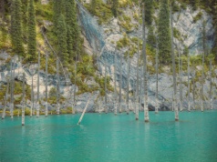 Z tego jeziora "wyrasta" martwy las. Ponad 100 lat temu doszło tu do trzęsienia ziemi