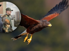 Wielki problem na polskim osiedlu. Wynajęli nietypowego strażnika