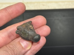 Turysta znalazł jedyną w swoim rodzaju prehistoryczną głowę byka z brązu