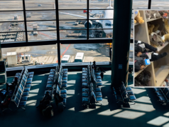 Żywy opos w sklepie z pamiątkami. Usiadł obok pluszowych zabawek