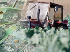 Składki KRUS w II kwartale 2026. Kluczowe kwoty – ile zapłacą rolnicy?