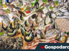 Po jakie ryby i ile sięgać?