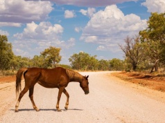 Wall Street znów zrobiła Europę w konia. Były spadki i nie ma spadków