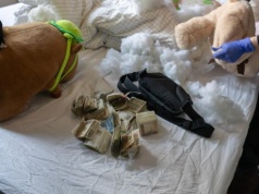 Pieniądze zaszyte w maskotkach. Skarbówka rozbiła grupę przestępczą