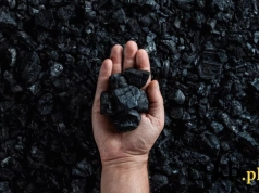 Podano termin zakazu sprzedaży węgla i ekogroszku dla gospodarstw domowych. Po tej dacie już nie kupisz opału