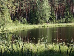 Niespotykane znalezisko w Borach Tucholskich. „Do tej pory archeolodzy nie trafiali na takie amulety”
