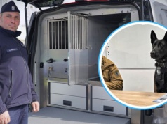 Nowe radiowozy dla psów służbowych w opolskiej policji. Fordy za 800 tysięcy złotych