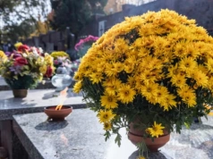 Zmarli we Wrocławiu - pogrzeby zaplanowane na 21.03.2026 – nekrologi